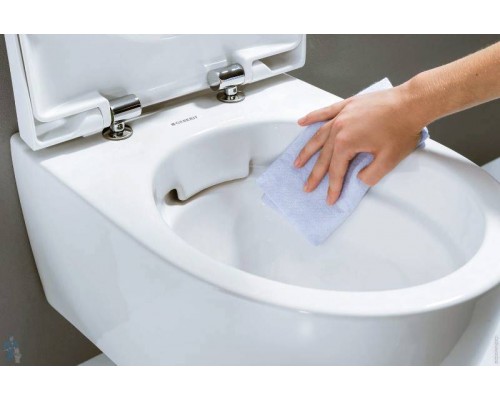 Сиденье для унитаза Geberit iCon с металлическими петлями, SoftСlose