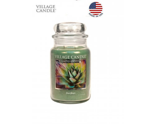 Декоративная свеча Village Candle Пробуждение чувств (602 грамма) Декоративная свеча Village Candle Пробуждение чувств (602 грамма)