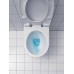 Сиденье для унитаза Geberit Renova SoftClose, петли хром