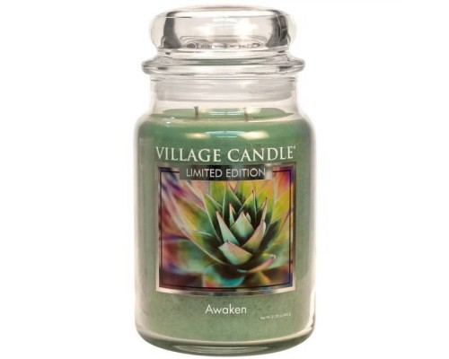 Декоративная свеча Village Candle Пробуждение чувств (602 грамма) Декоративная свеча Village Candle Пробуждение чувств (602 грамма)