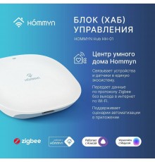 Hommyn Hub HH-01