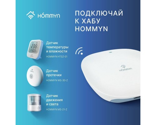 Hommyn WS-30-Z