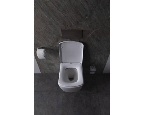 Allen Brau Liberty Унитаз подвесной, крышка-сиденье в комплекте, цвет: белый 4.32003.20
