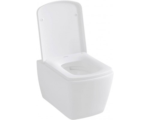 Allen Brau Liberty Унитаз подесной с инсталляцией 36x50x35,5h см, цвет: белый 00316507
