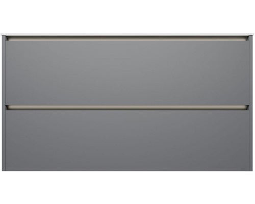 Allen Brau Activity Тумба под раковину 120x46x66,2 см, цвет: платина/олива 1.34015.PGM