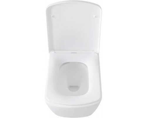 Allen Brau Liberty Унитаз подесной с инсталляцией 36x50x35,5h см, цвет: белый 00316507