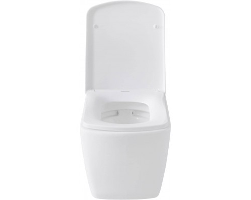 Allen Brau Liberty Унитаз подесной с инсталляцией 36x50x35,5h см, цвет: белый 00316507