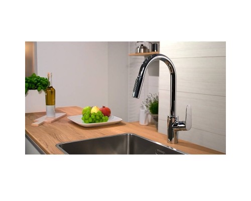 Кухонный смеситель HansGrohe HG Focus 240 однорычажный с вытяжным душем под сталь
