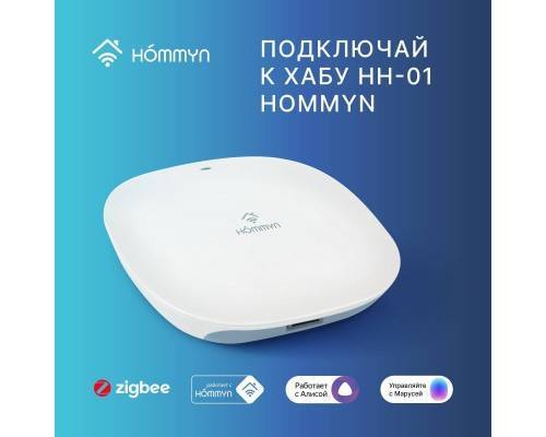 Модуль реле HOMMYN zigbee 1 канал (без нейтрали) RLZBNN01