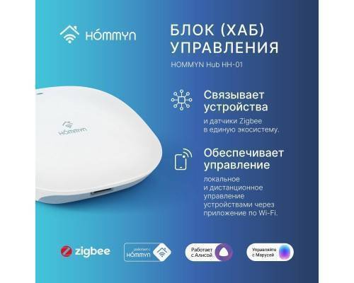 Комплект три умные розетки и хаб HOMMYN SP3HOMKIT07 Комплект три умные розетки и хаб HOMMYN SP3HOMKIT07