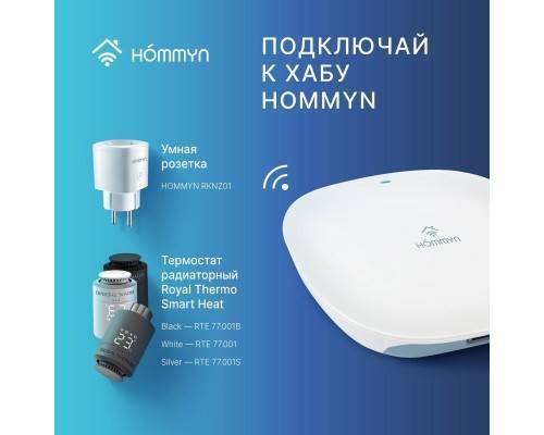 Комплект три умные розетки и хаб HOMMYN SP3HOMKIT07 Комплект три умные розетки и хаб HOMMYN SP3HOMKIT07