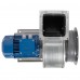 Вентилятор RAD-3,15-К1(AISI 430)-RHP32-0,75-1000-Л0