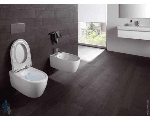 Сиденье для унитаза Geberit iCon с металлическими петлями, SoftСlose