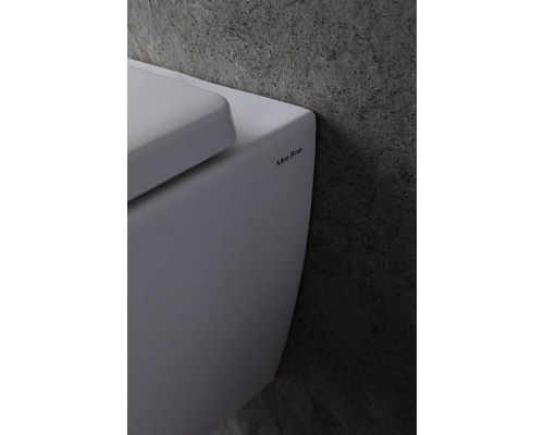 Allen Brau Liberty Унитаз подвесной, крышка-сиденье в комплекте, цвет: белый 4.32003.20