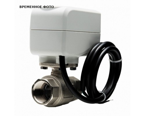 Кран 1/2'' с электроприводом 220B Neptun Standart