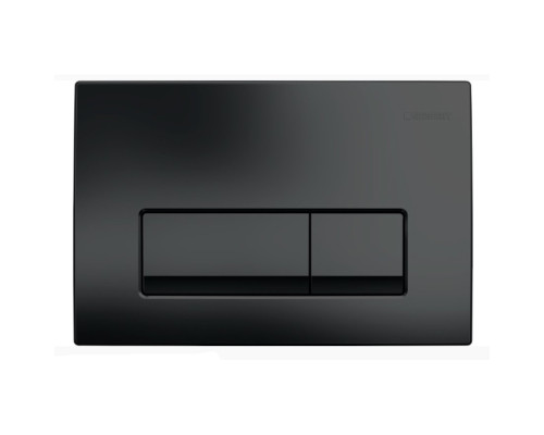 Кнопка смыва Geberit Delta50 черный 115.119.DW.1