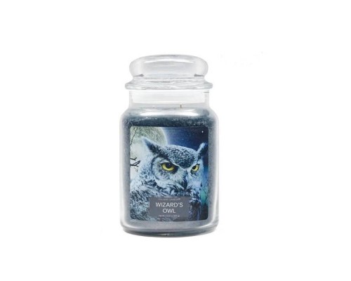 Декоративная свеча Village Candle Волшебная Сова (602 грамма)