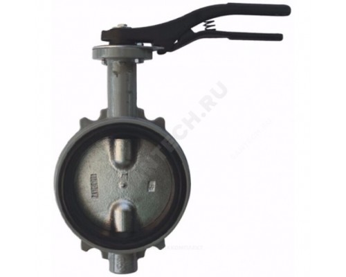 Затвор поворот чуг EPDM Ду300 Ру16 д/чуг R59W Giacomini R59WX030