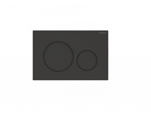 Клавиша смыва для унитаза, Geberit, Sigma20, шгв  246-12-164, цвет-черный матовый лак/черный