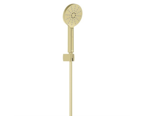 AQ2033BG ОБЕРОН душевой набор Select 120 3 jet, шлиф. золото AQ2033BG