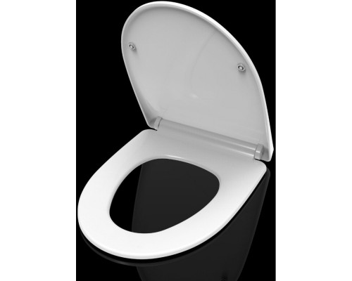 AQ0209-00 крышка-сиденье для унитаза AQ2009, белая AQ0209-00