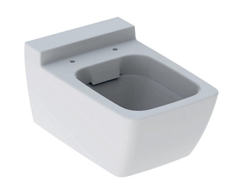 500.500.01.1 Geberit Xeno² Унитаз подвесной безободковый Rimfree® 500.500.01.1
