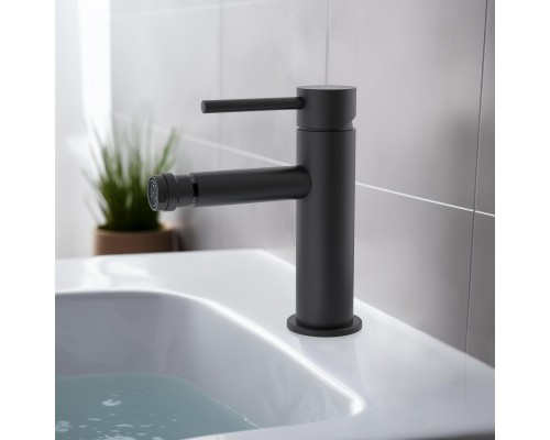 AQ1318MB ЕВРОПА смеситель для биде, матовый черный AQ1318MB