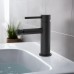 AQ1318MB ЕВРОПА смеситель для биде, матовый черный AQ1318MB