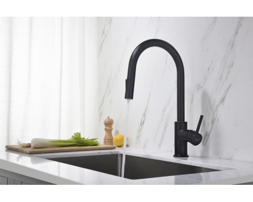 AQ1384MB ЕВРОПА смеситель для кухни с вытяжным изливом 2 jet, матовый черный AQ1384MB