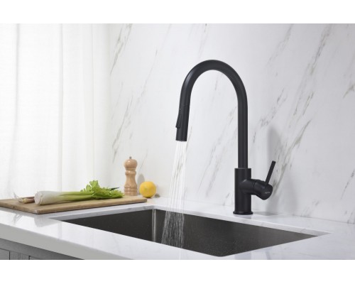 AQ1384MB ЕВРОПА смеситель для кухни с вытяжным изливом 2 jet, матовый черный AQ1384MB