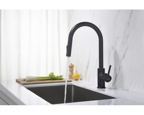 AQ1384MB ЕВРОПА смеситель для кухни с вытяжным изливом 2 jet, матовый черный AQ1384MB