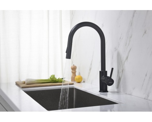 AQ1384MB ЕВРОПА смеситель для кухни с вытяжным изливом 2 jet, матовый черный AQ1384MB