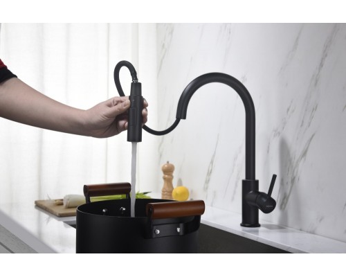 AQ1384MB ЕВРОПА смеситель для кухни с вытяжным изливом 2 jet, матовый черный AQ1384MB