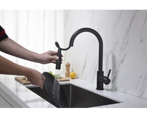 AQ1384MB ЕВРОПА смеситель для кухни с вытяжным изливом 2 jet, матовый черный AQ1384MB