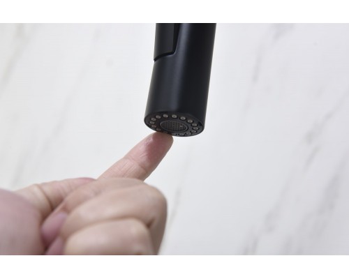 AQ1384MB ЕВРОПА смеситель для кухни с вытяжным изливом 2 jet, матовый черный AQ1384MB