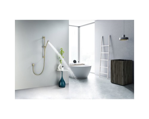 AQ2012BG ЕВРОПА душевой гарнитур 1jet 65 см, шлиф. золото AQ2012BG