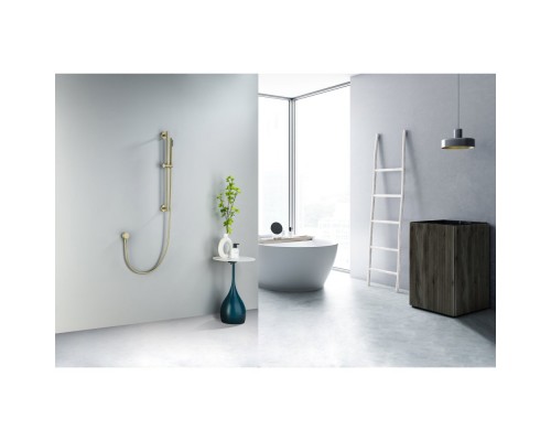 AQ2012BG ЕВРОПА душевой гарнитур 1jet 65 см, шлиф. золото AQ2012BG