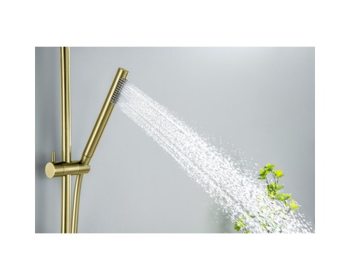 AQ2012BG ЕВРОПА душевой гарнитур 1jet 65 см, шлиф. золото AQ2012BG