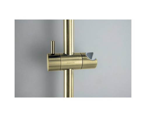 AQ2012BG ЕВРОПА душевой гарнитур 1jet 65 см, шлиф. золото AQ2012BG