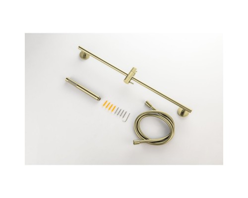 AQ2012BG ЕВРОПА душевой гарнитур 1jet 65 см, шлиф. золото AQ2012BG