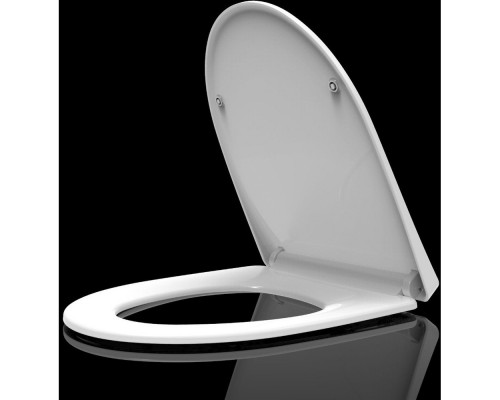 AQ0209-00 крышка-сиденье для унитаза AQ2009, белая AQ0209-00