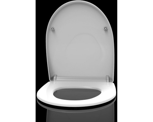 AQ0209-00 крышка-сиденье для унитаза AQ2009, белая AQ0209-00