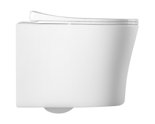 AQ0209-00 крышка-сиденье для унитаза AQ2009, белая AQ0209-00