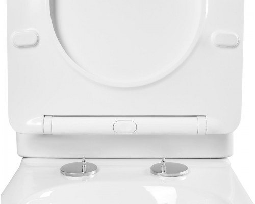 AQ1964-00 АМАДЕО Унитаз приставной безободковый 560365400 мм, тонкое сиденье с механизмом плавного закрывания, крепеж AQ1964-00