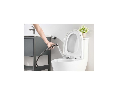 AQ1712BGM ЛУГАНО смеситель для раковины 106 с гигиеническим ручным душем, оружейная сталь AQ1712BGM