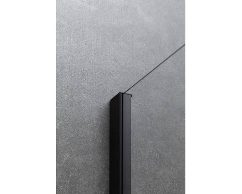 Allen Brau Priority Боковая стенка 100x200h см, цвет: черный 3.31048.BBA