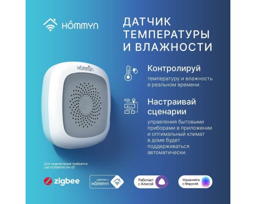 Hommyn TS-20-Z