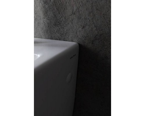 Allen Brau Infinity Биде подвесное, цвет: белый 4.21006.20