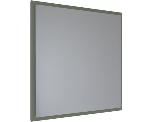 Allen Brau Activity Зеркало подвесное прямоугольное с подсветкой 70x75 см, цвет: олива 1.340026.CGM