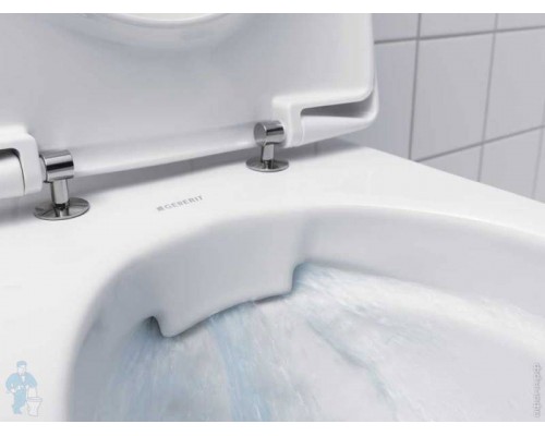 Сиденье для унитаза Geberit Renova Plan петли нерж.сталь